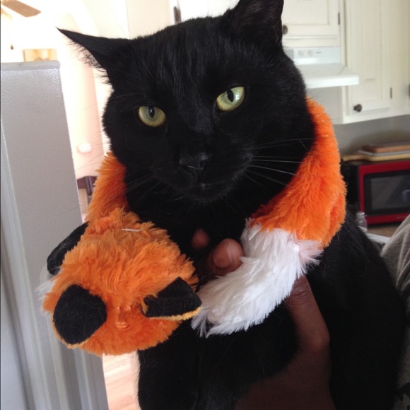 Meet your Posher, Lepetit - Picture 7 of 14